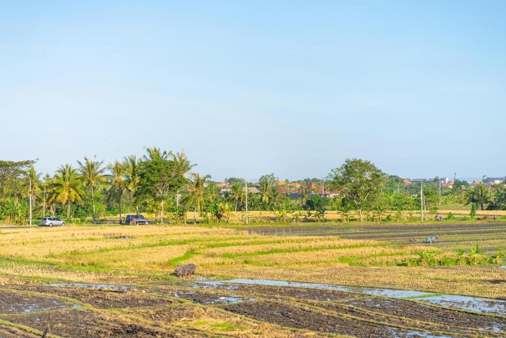 Pondok Lulik Seseh Beach Munggu Esterno foto